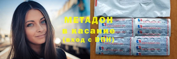 индика Гусев