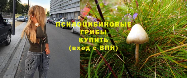 спиды Аркадак