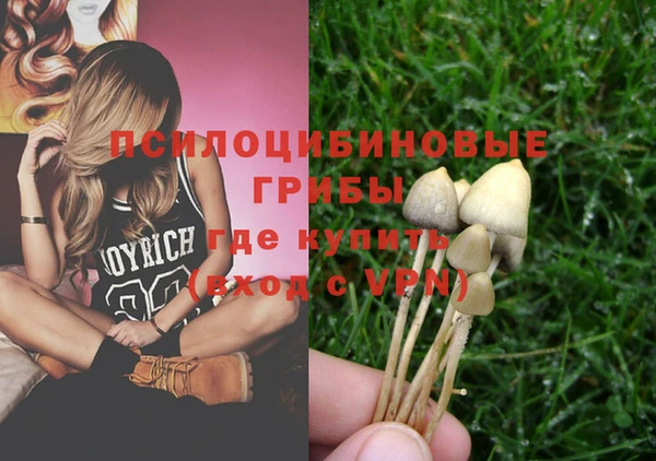спиды Аркадак